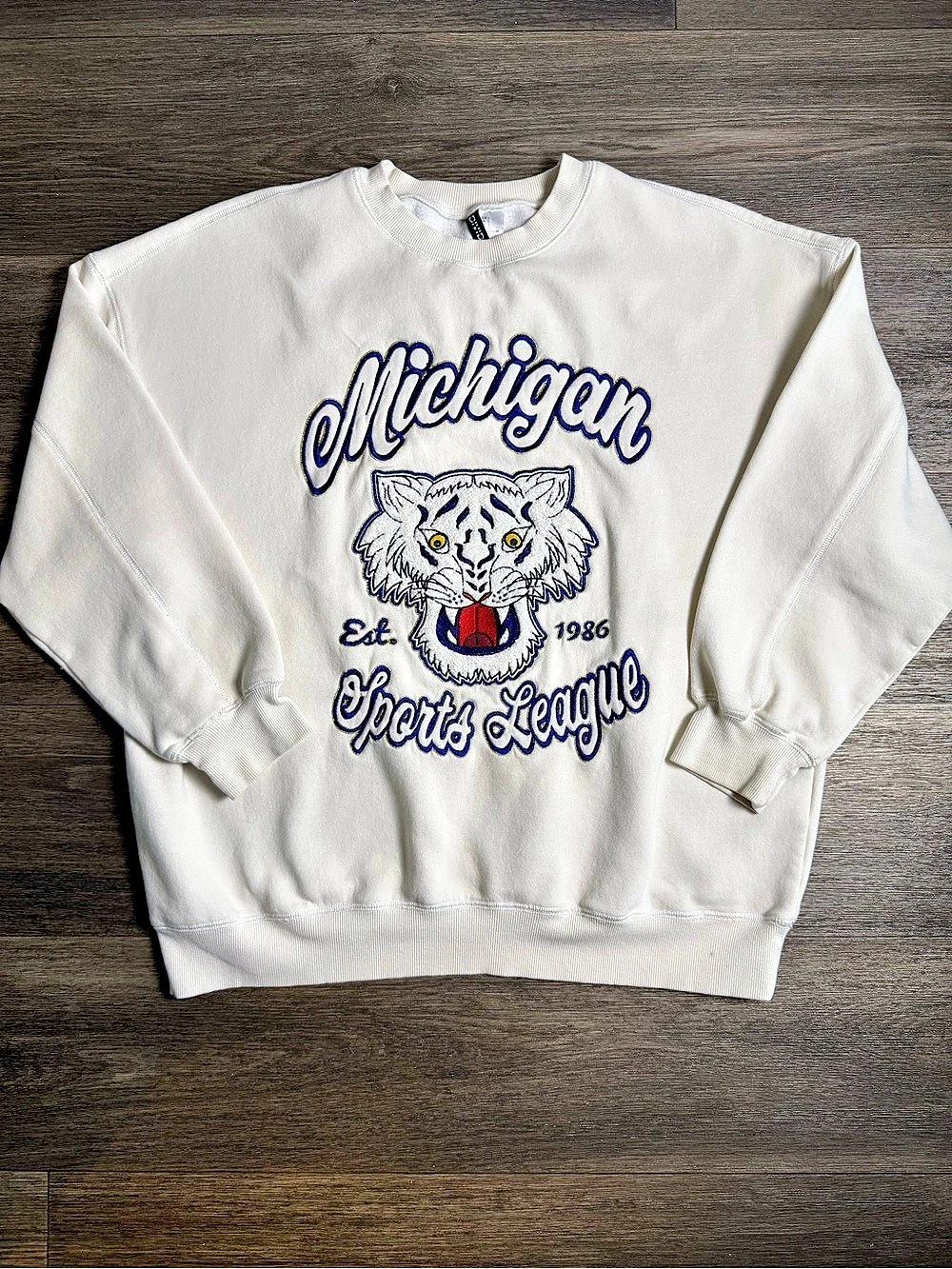 DIVIDED Michigan Sports League Graphic Sweatshirt White & Blue Large